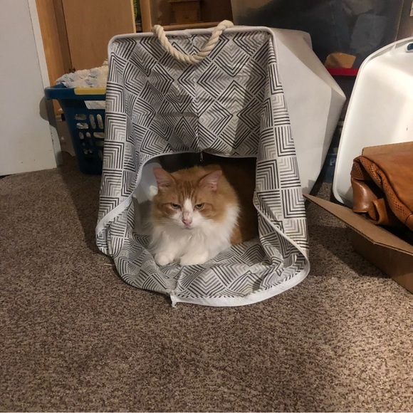 Meet your Posher, Helen Esther - Picture 4 of 5